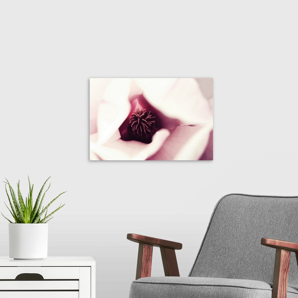 A modern room featuring Close up of magnolia blossom.