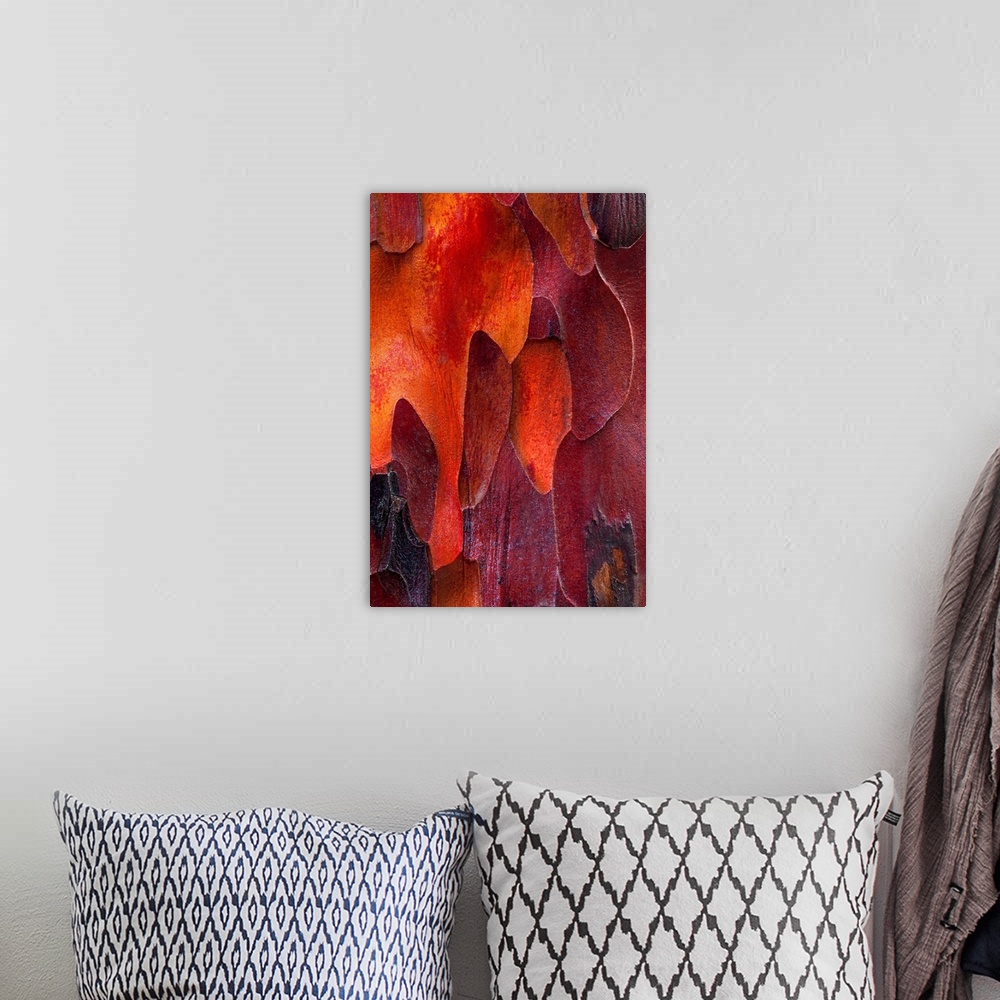 A bohemian room featuring This nature photograph takes on a fine art and abstract quality from the closeness created shapes...