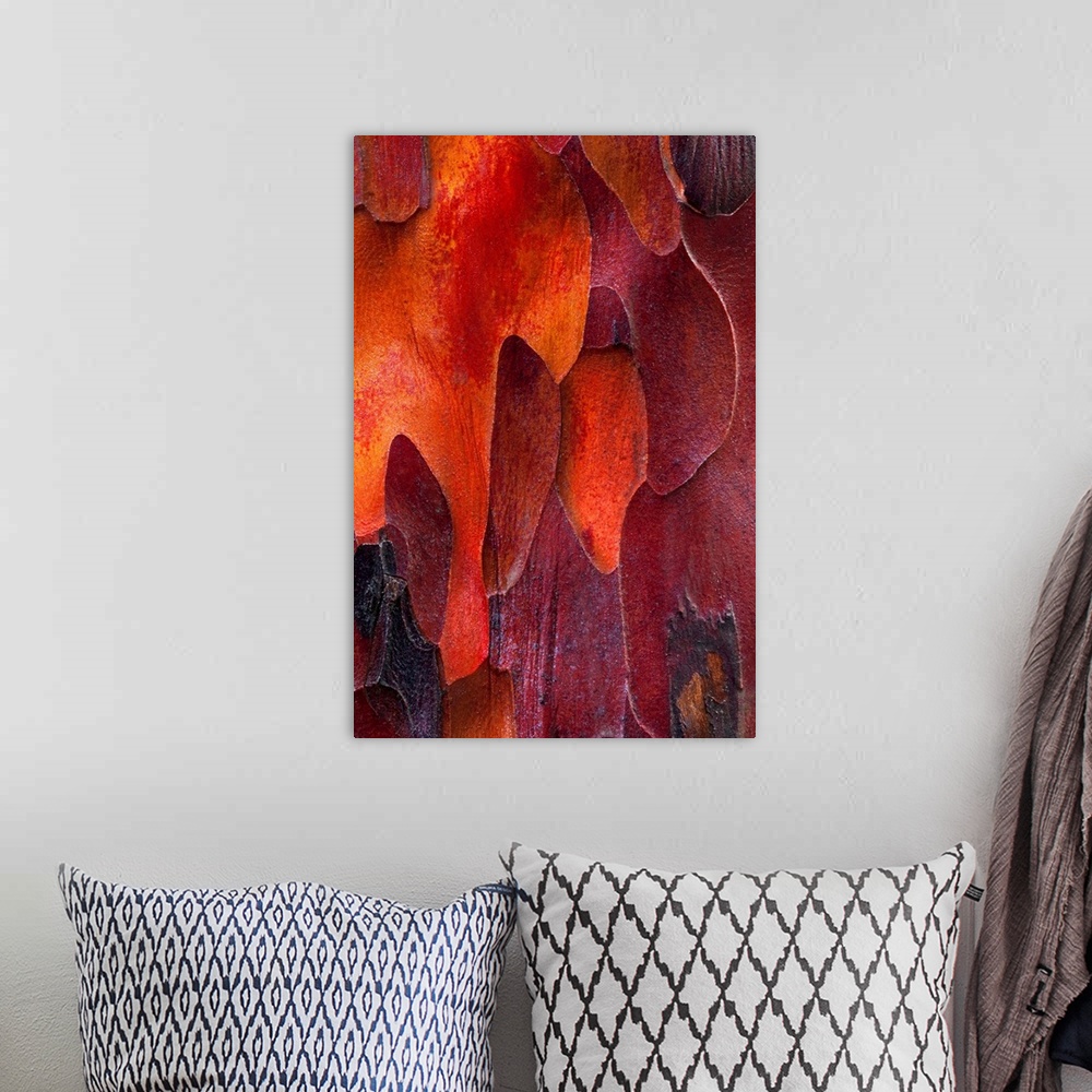 A bohemian room featuring This nature photograph takes on a fine art and abstract quality from the closeness created shapes...