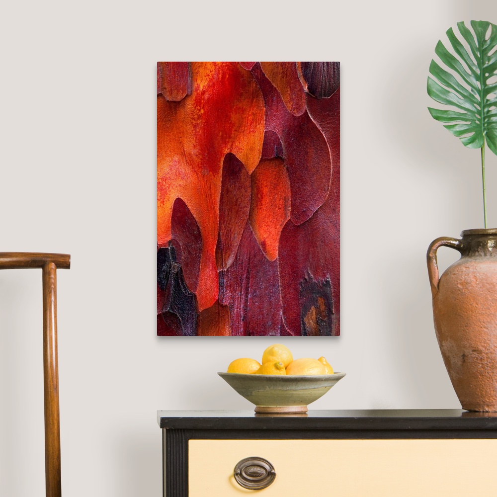 A traditional room featuring This nature photograph takes on a fine art and abstract quality from the closeness created shapes...