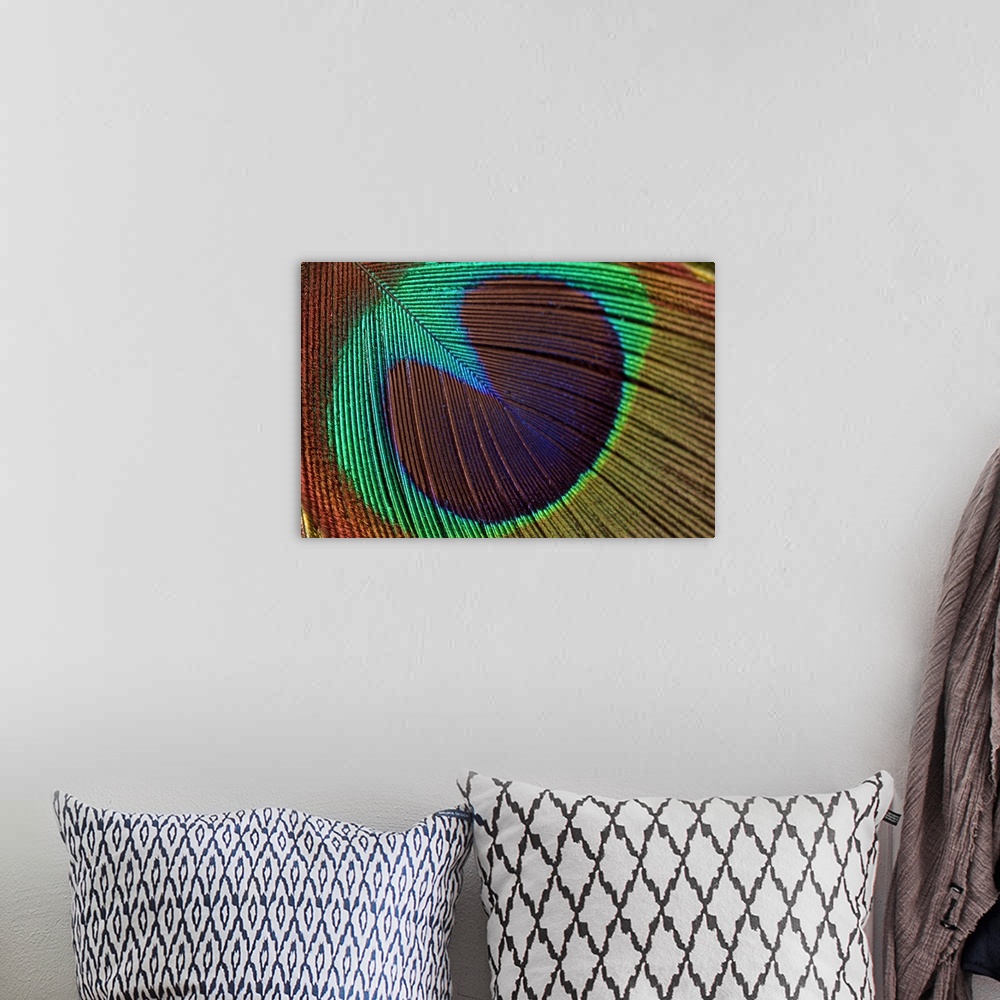 A bohemian room featuring Oversized, close up landscape photograph of a shimmering, colorful peacock feather.