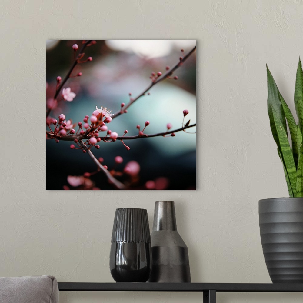 A modern room featuring Close-up of plum blossoms.
