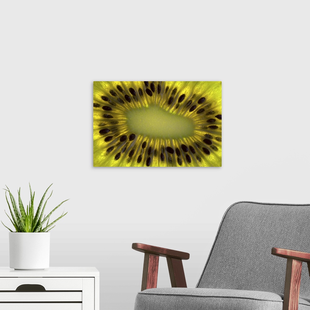 A modern room featuring Close up of the seeds in a slice of Kiwifruit (Chinese Gooseberry)