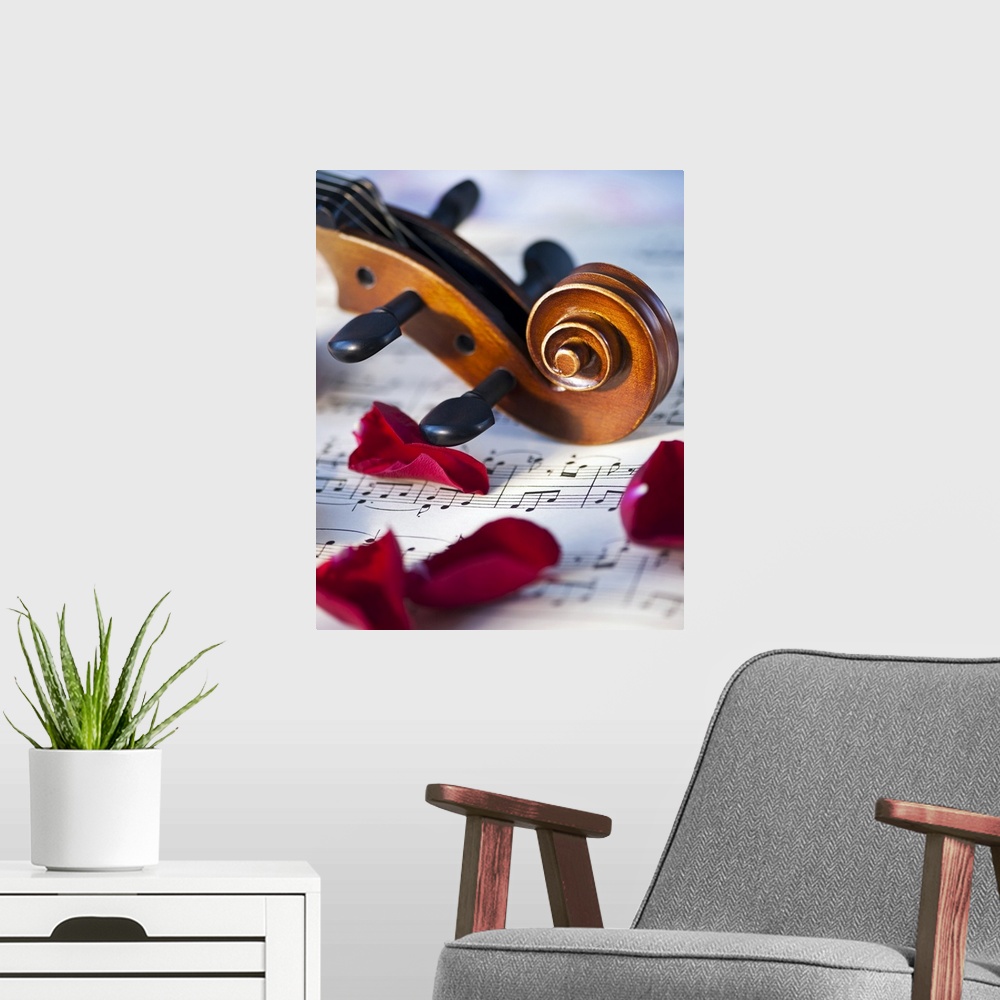 A modern room featuring Close up of violin scroll and rose petals on sheet music