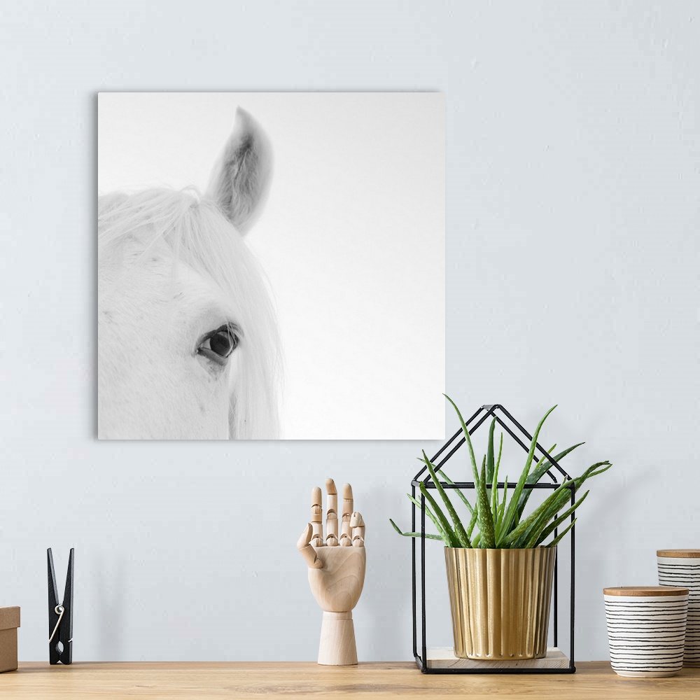 A bohemian room featuring Close up of white horse.