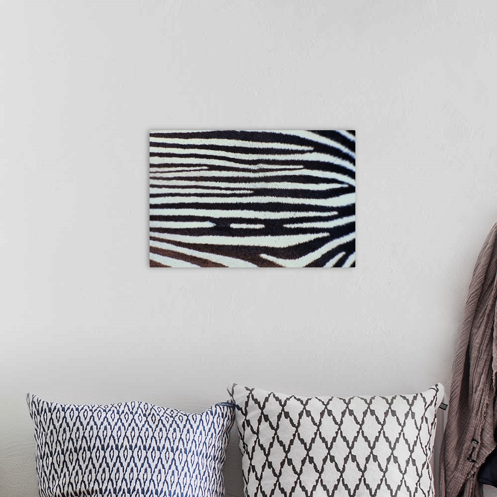A bohemian room featuring Close up of Zebra stripes