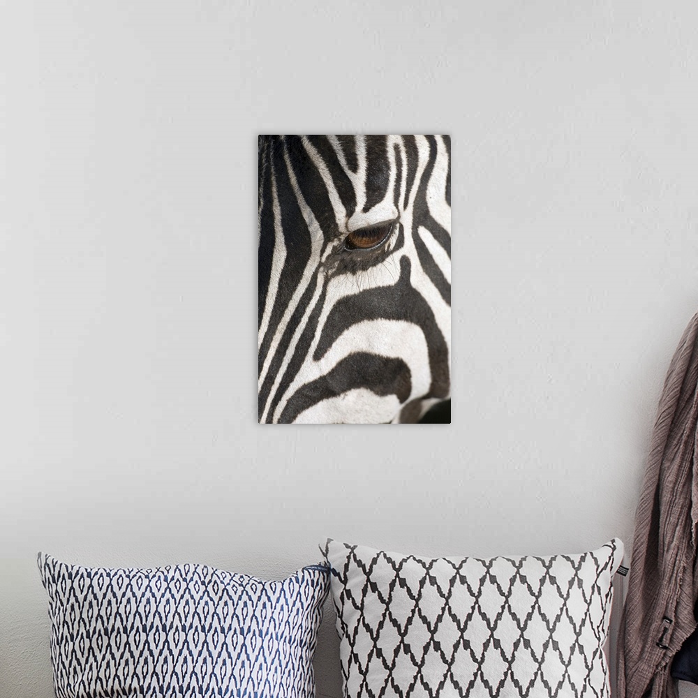 A bohemian room featuring A photograph is taken closely of just one eye on a Zebra.