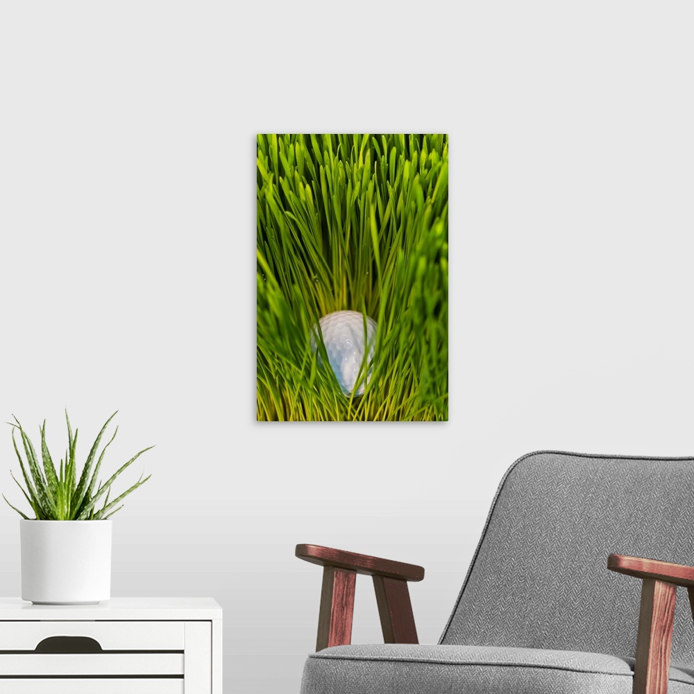 A modern room featuring USA, New Jersey, Jersey City, Close-up view of golf ball in grass