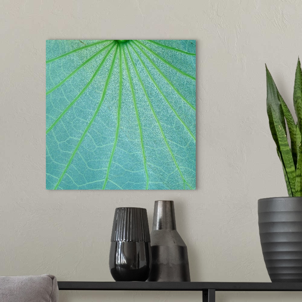A modern room featuring Closeup Of Leaf