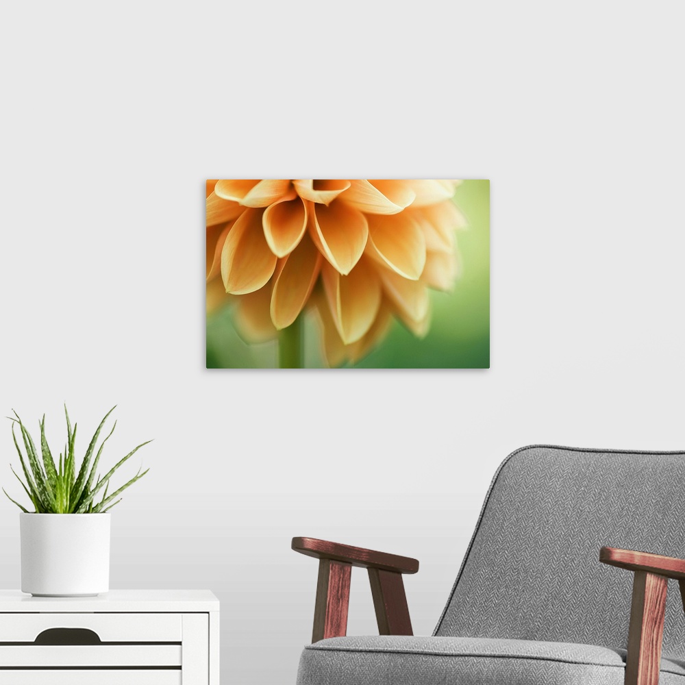 A modern room featuring Up-close photograph of flower.