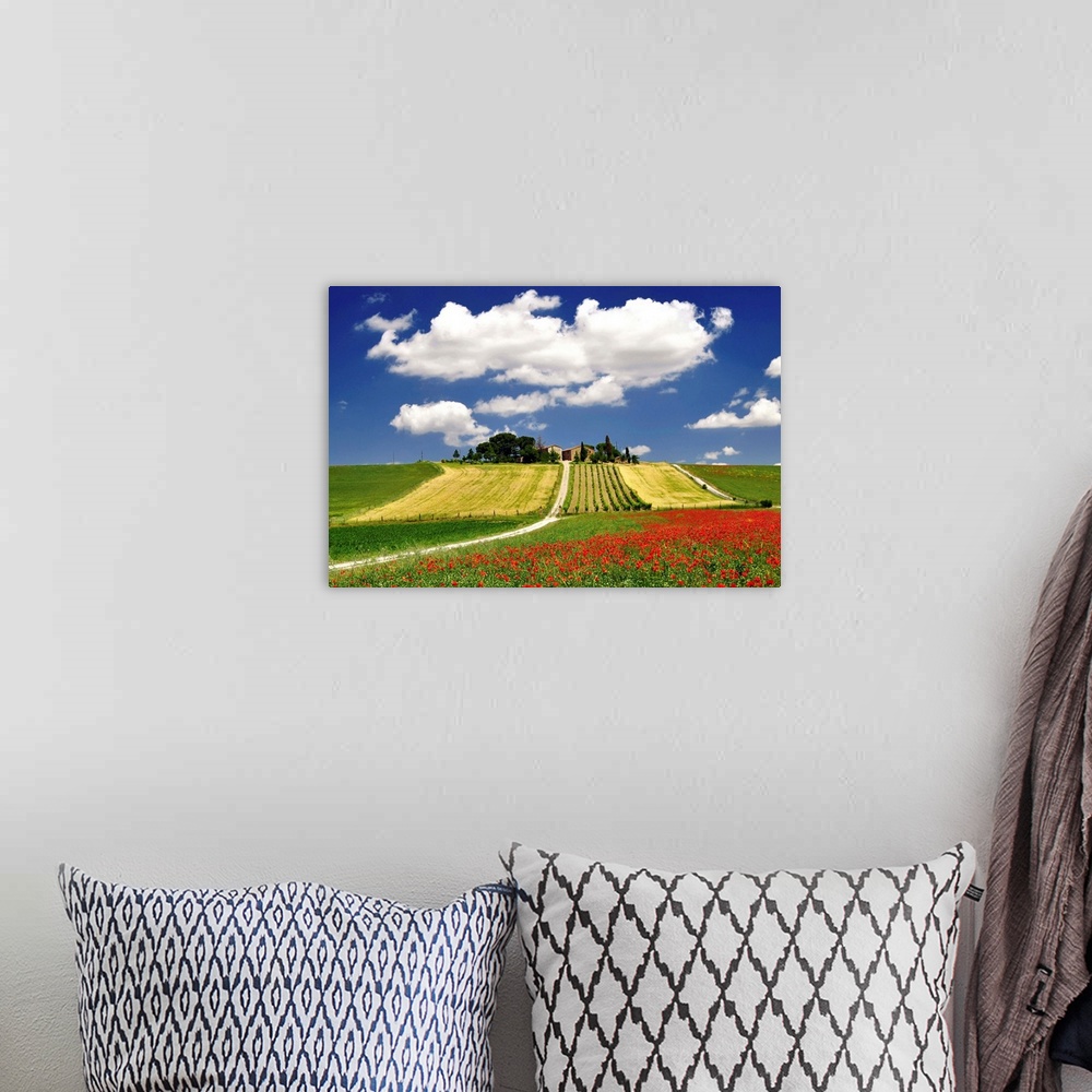 A bohemian room featuring Clouds and poppies near vineyard.
