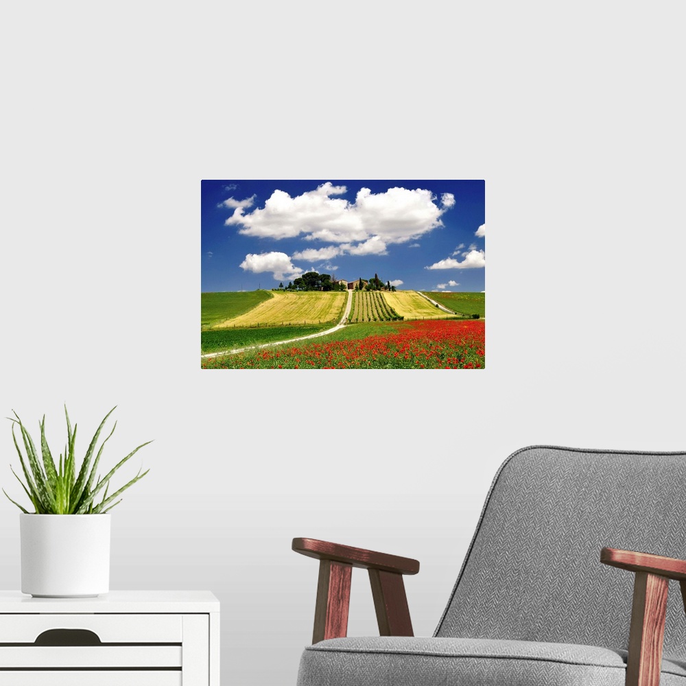 A modern room featuring Clouds and poppies near vineyard.