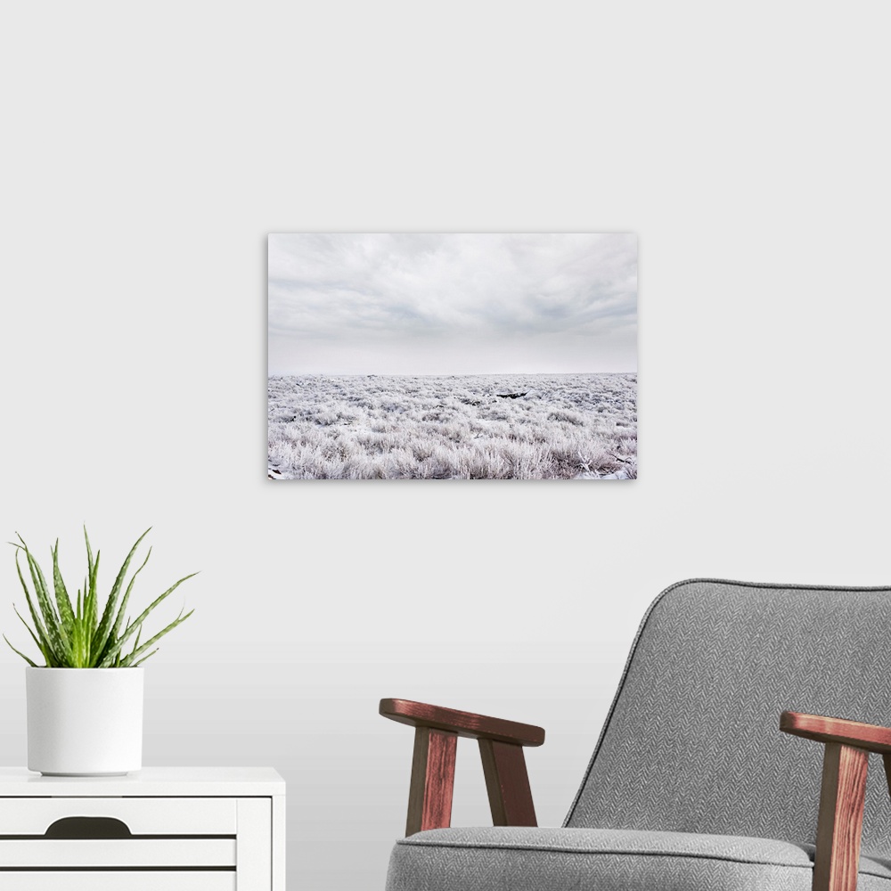 A modern room featuring Frosty sagebrush at Craters of the Moon National Monument, Idaho.