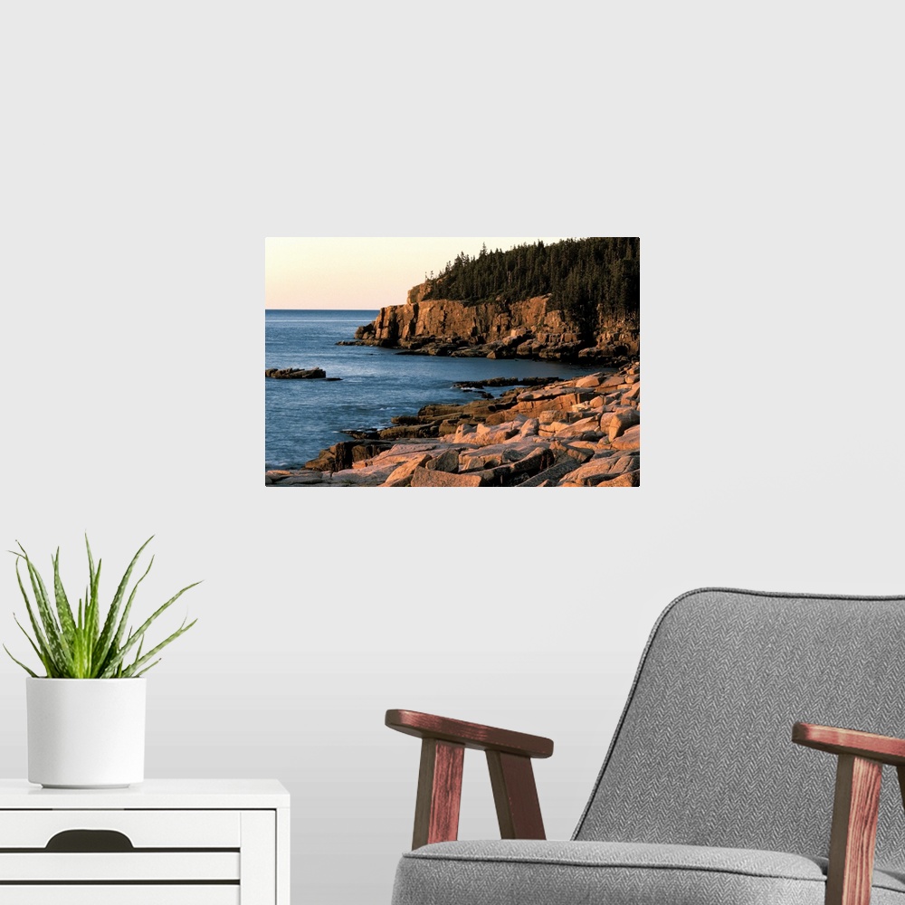 A modern room featuring Coastline of Acadia National Park , Maine