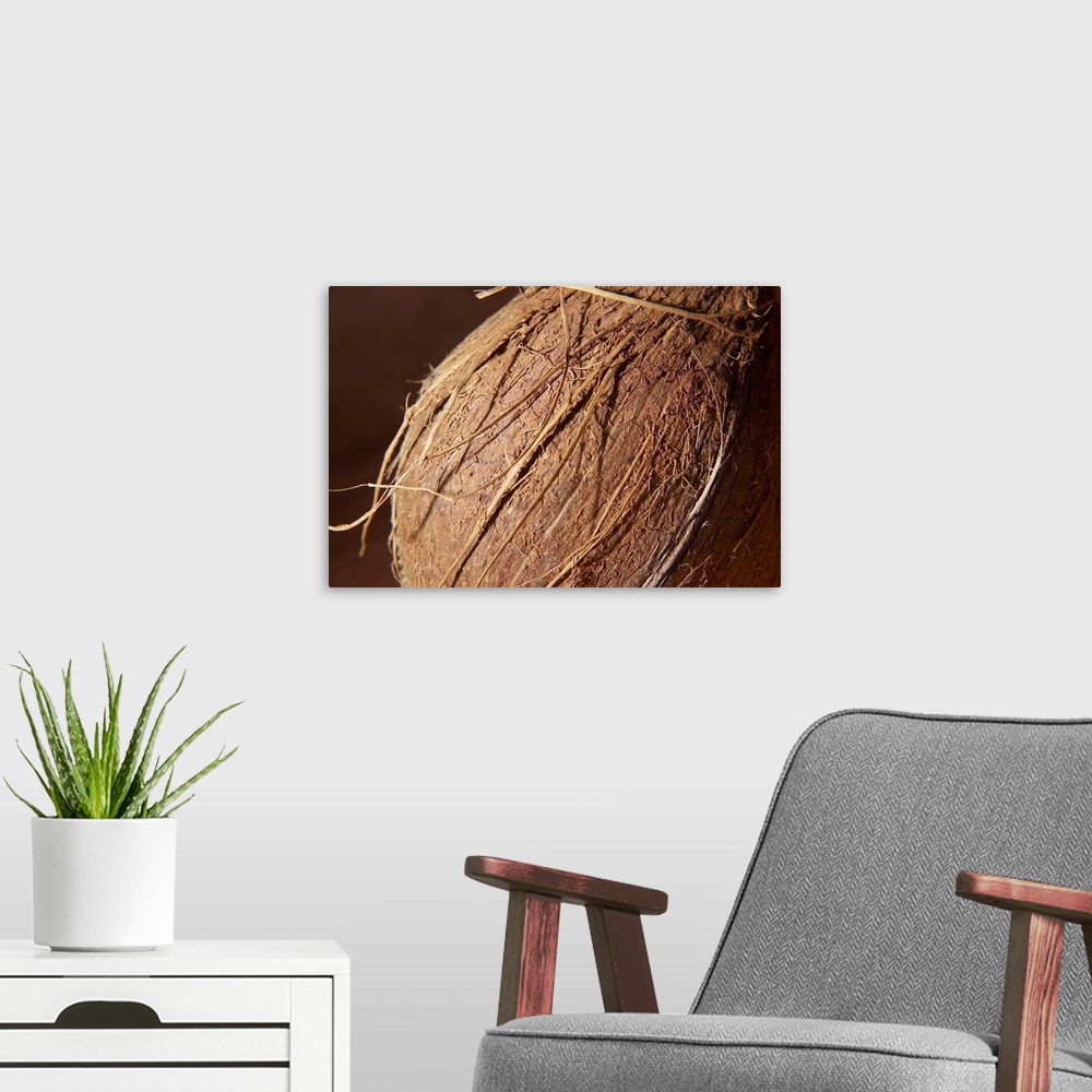 A modern room featuring Coconut