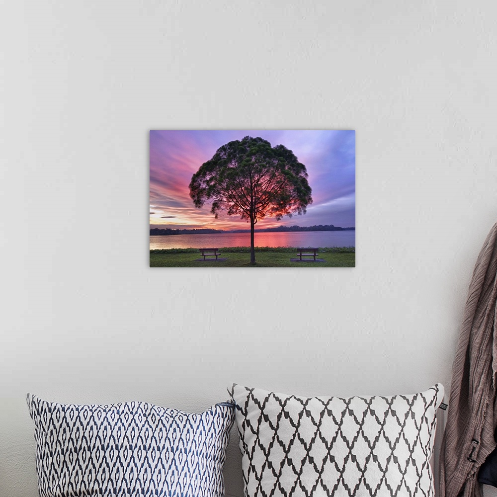 A bohemian room featuring Colorful light seen behind tree is spectacle.
