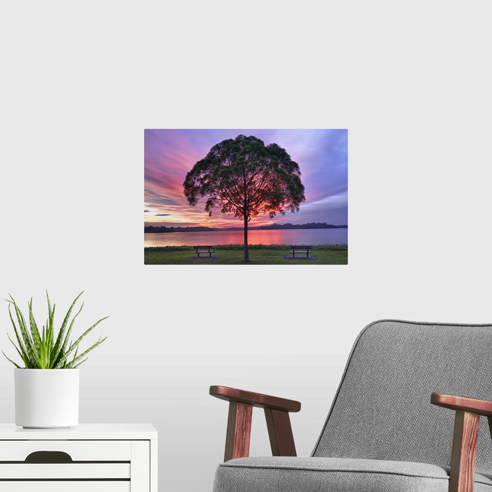 A modern room featuring Colorful light seen behind tree is spectacle.