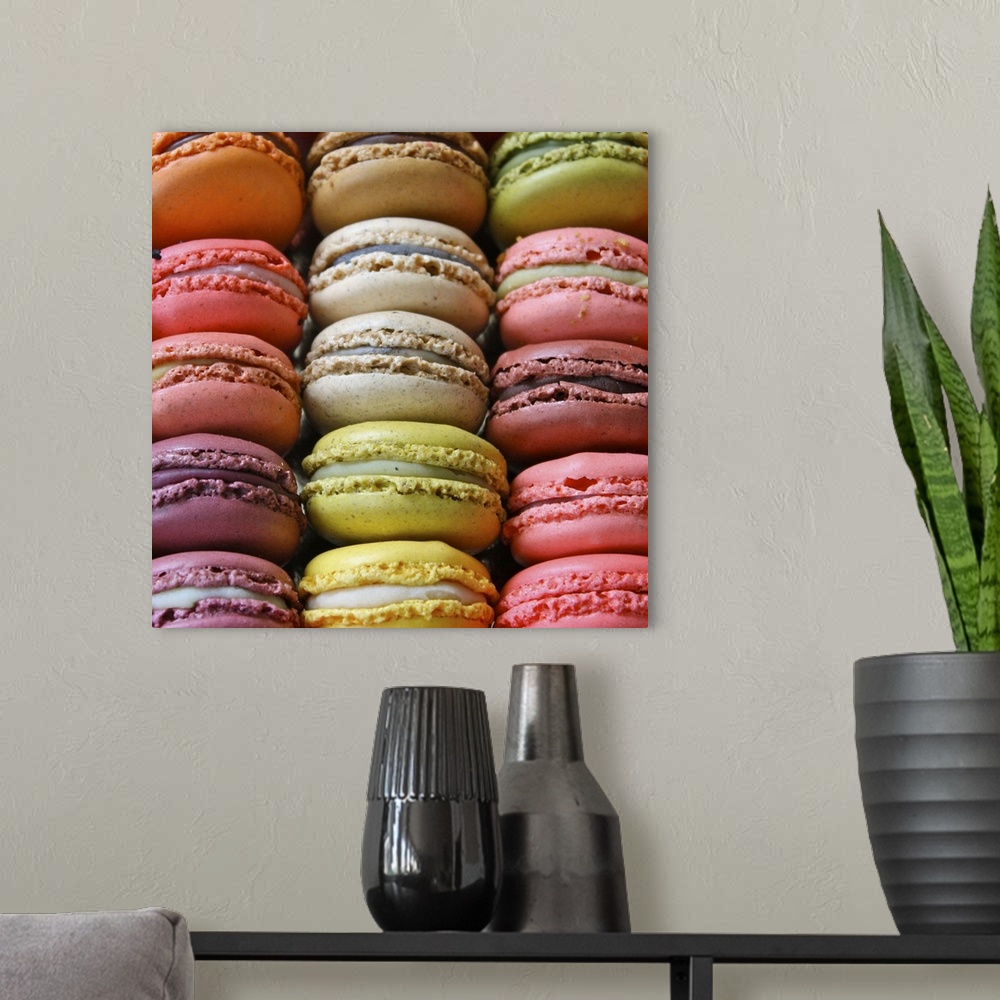 A modern room featuring Colorful Macaroons.