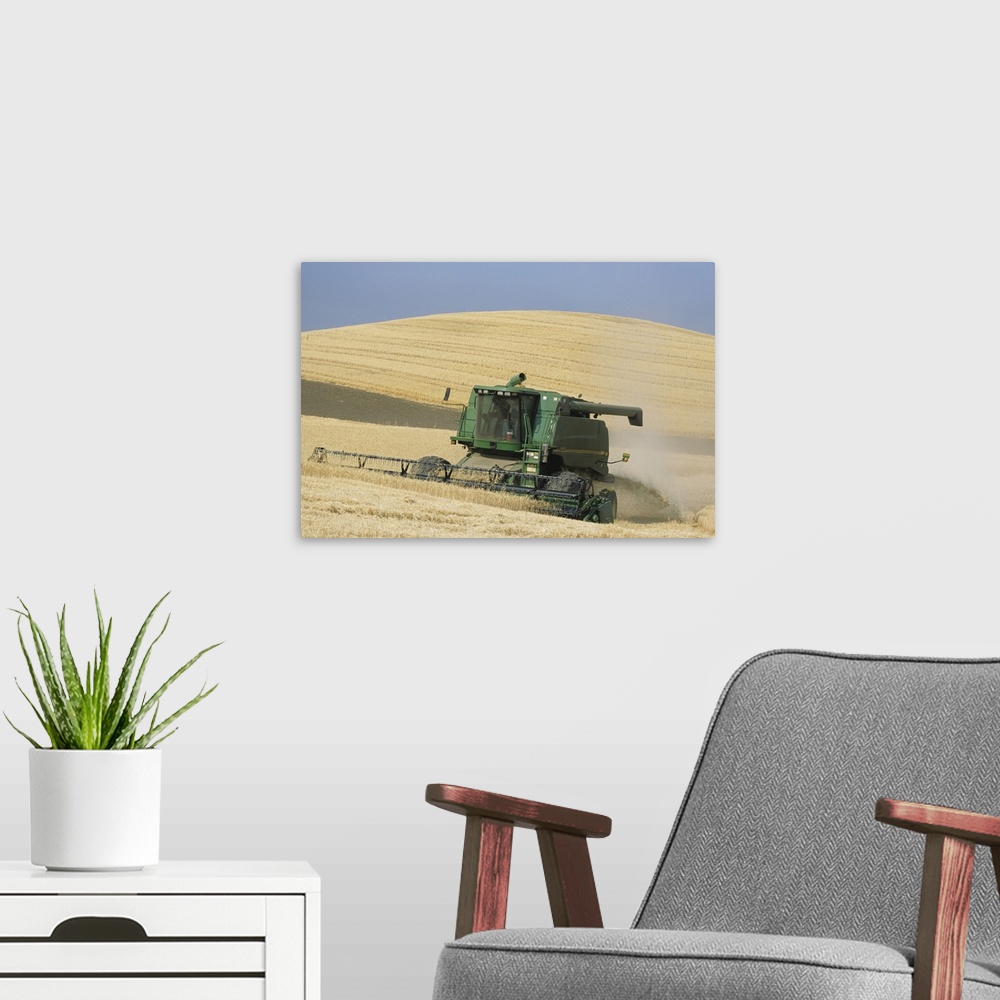 A modern room featuring Combine harvester harvesting golden wheat, late Summer, Washington State, USA