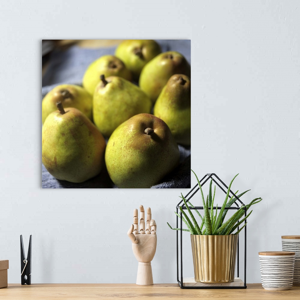 A bohemian room featuring Comice Pears