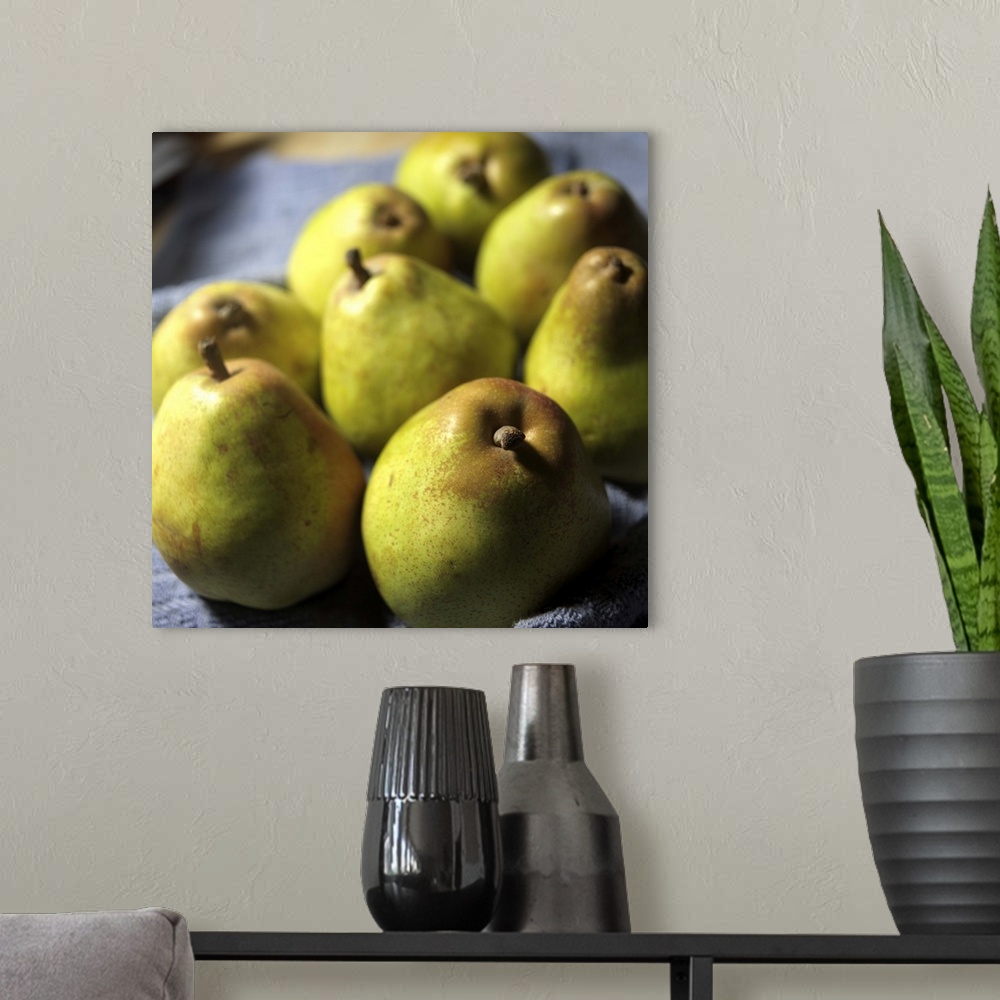 A modern room featuring Comice Pears