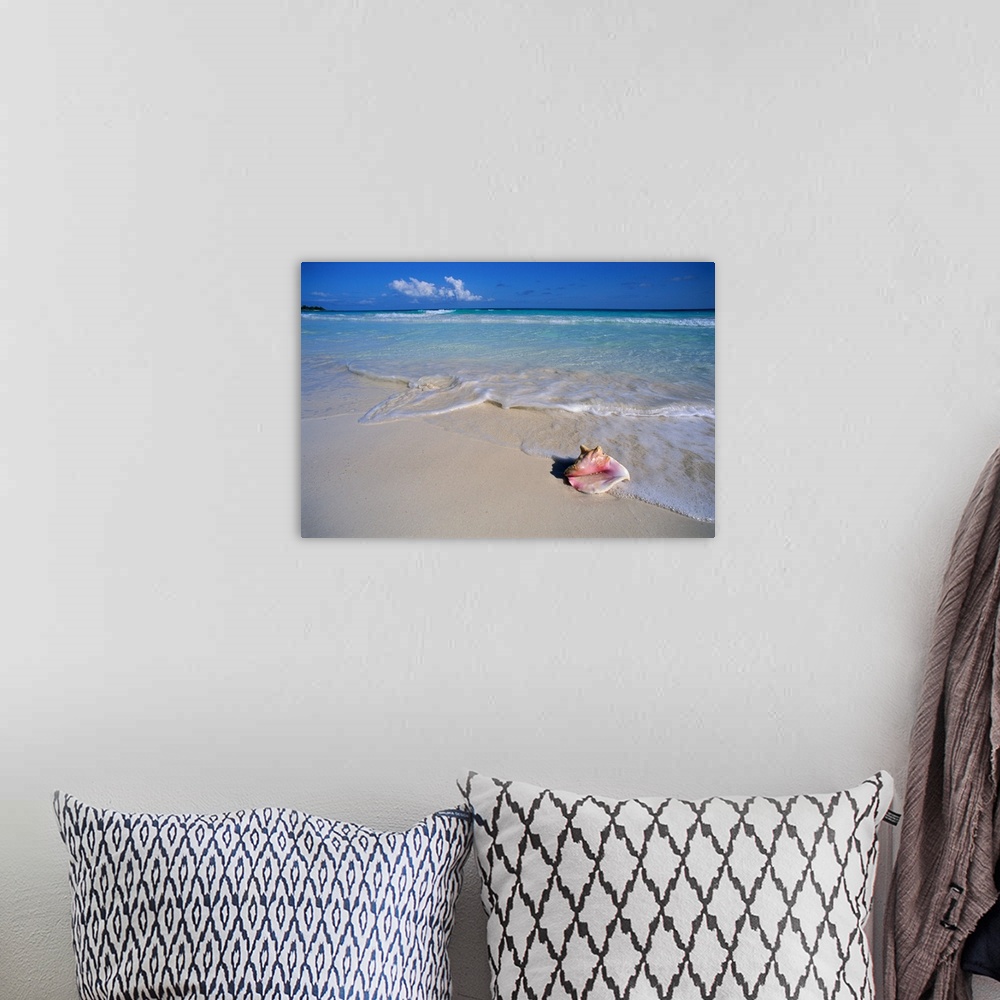 A bohemian room featuring Conch Shell On Quiet Beach