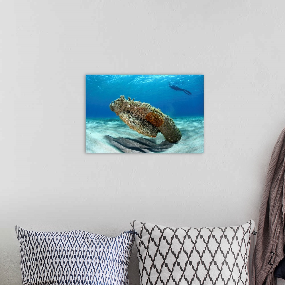 A bohemian room featuring Coral reef in water on island of Moro, Cabo de Gata.