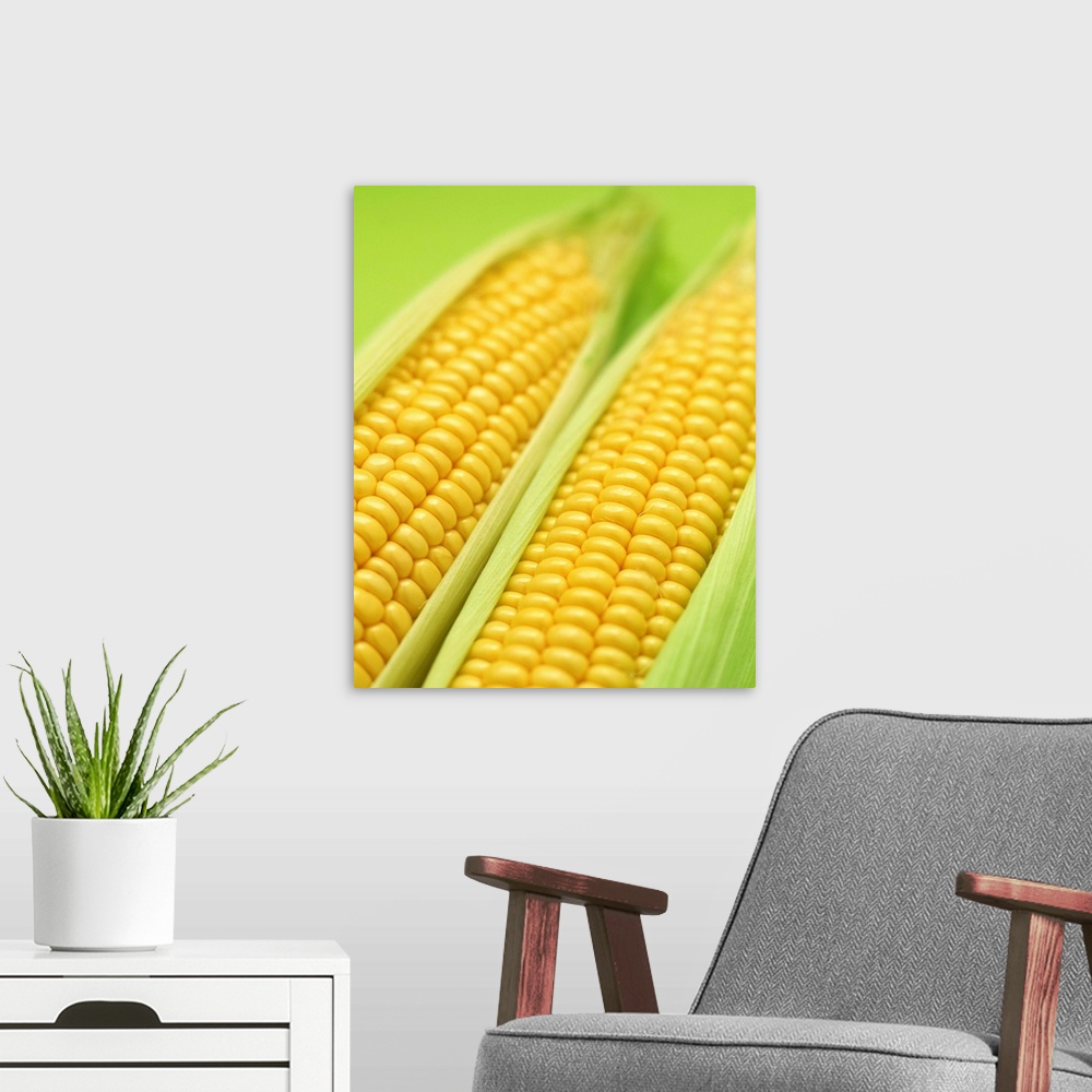 A modern room featuring Corn