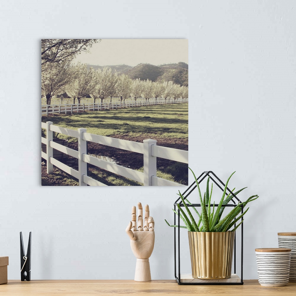 A bohemian room featuring An image of a country road with the tree-lined path in bloom.  Image has been processed to give a...