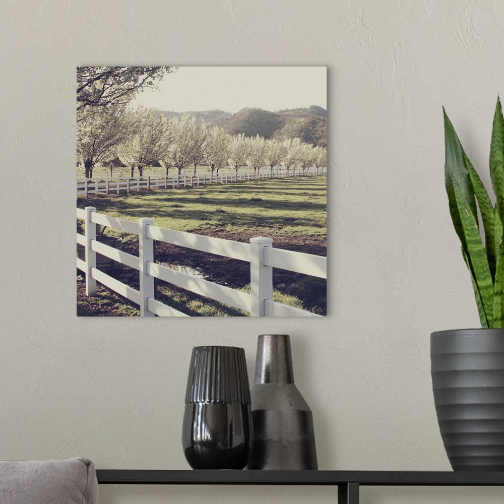 A modern room featuring An image of a country road with the tree-lined path in bloom.  Image has been processed to give a...