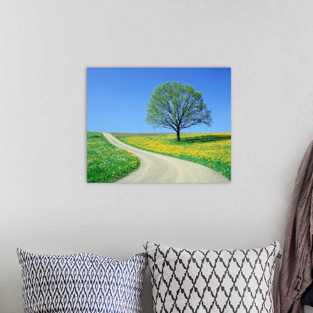 A bohemian room featuring Country Road And Tree, Spring