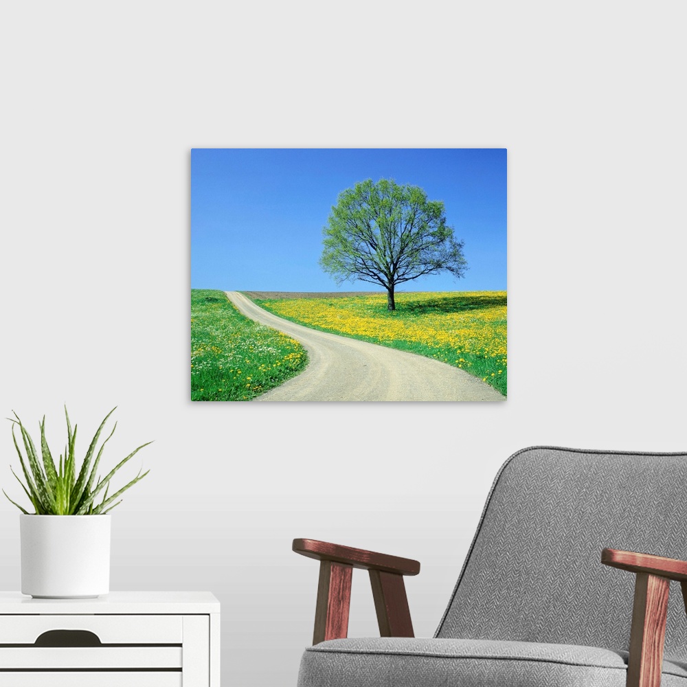 A modern room featuring Country Road And Tree, Spring