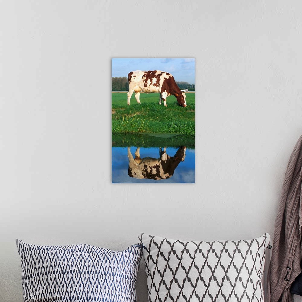 A bohemian room featuring Cow Grazing