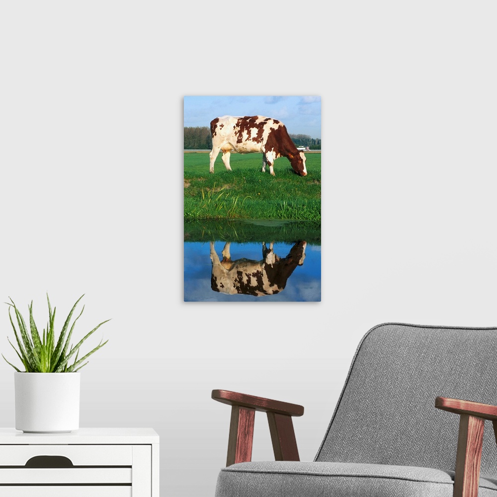 A modern room featuring Cow Grazing