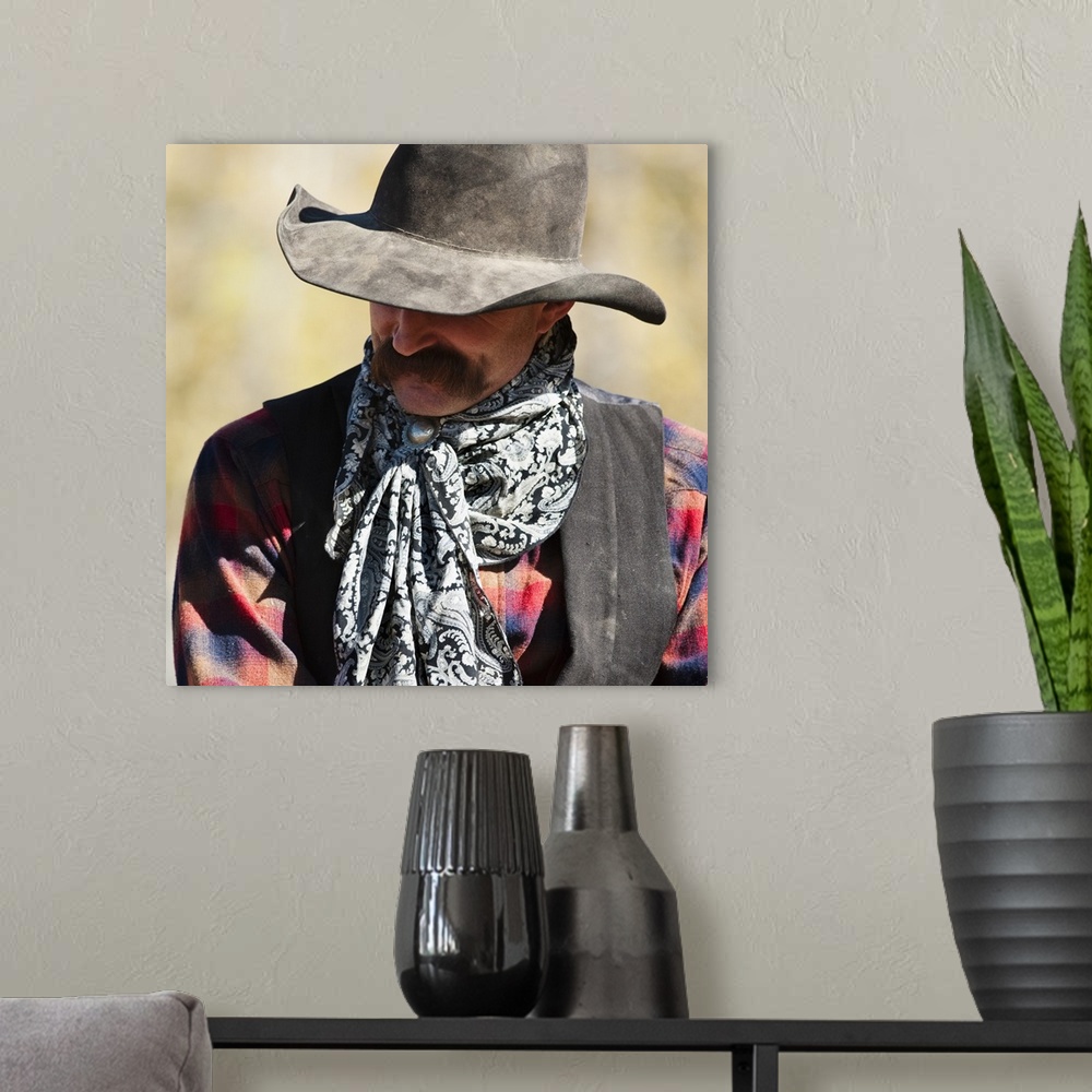 A modern room featuring Cowboy