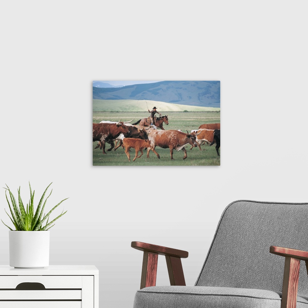 A modern room featuring Cowboy and cattle