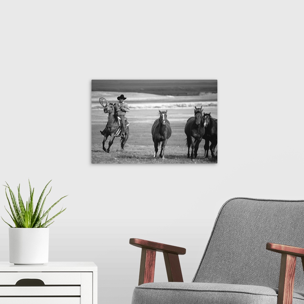 A modern room featuring Cowboy driving a herd of horse
