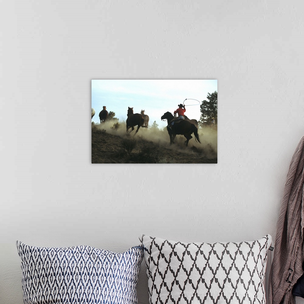 A bohemian room featuring Cowboy driving horses with lasso, Oregon, USA