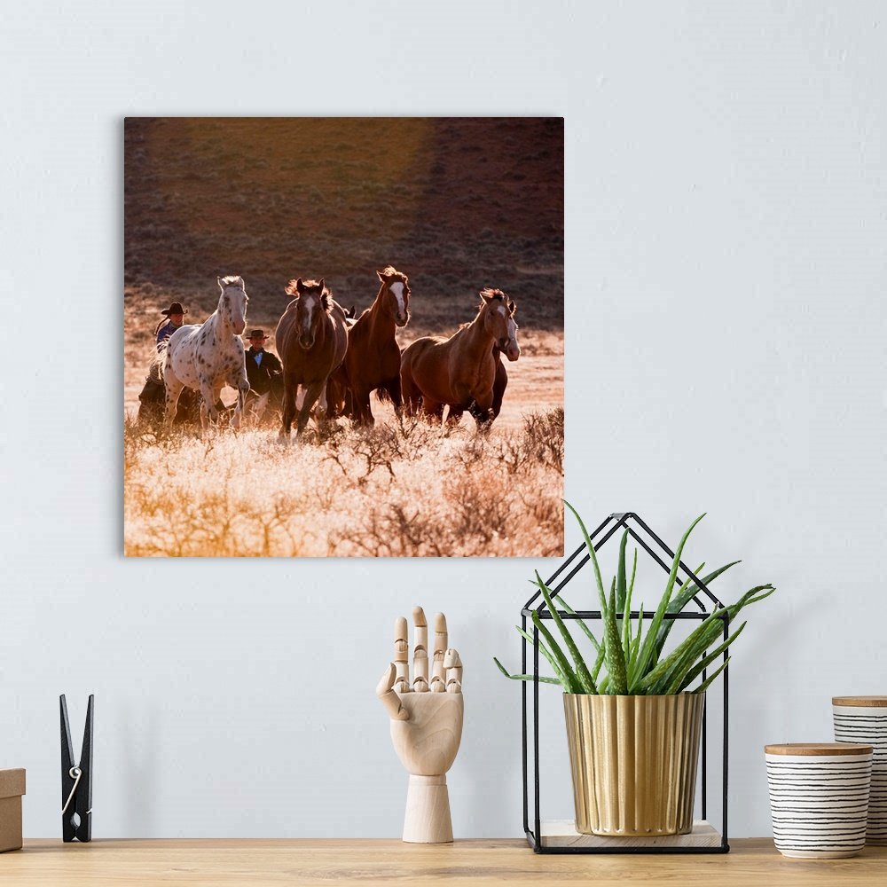 A bohemian room featuring Cowboy Herding Horses