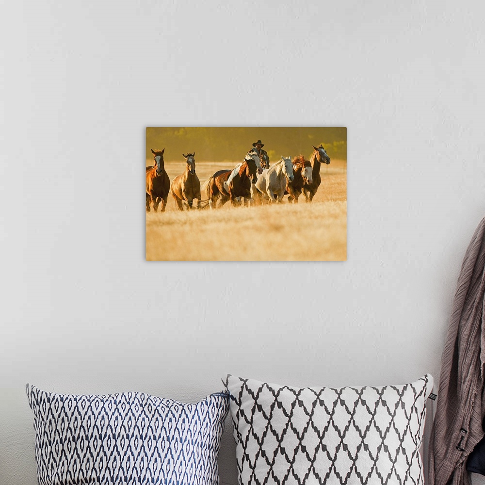 A bohemian room featuring Cowboy Herding Horses