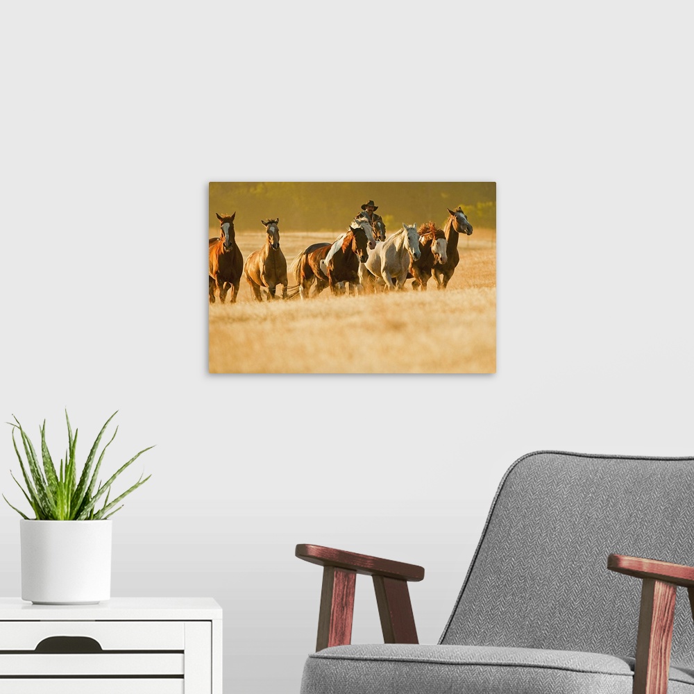 A modern room featuring Cowboy Herding Horses