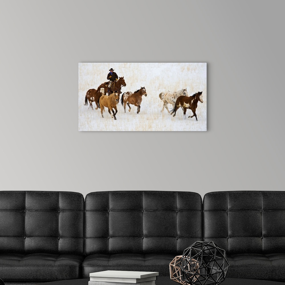 A modern room featuring Cowboy Herding Horses At Hide Out Ranch In Wyoming