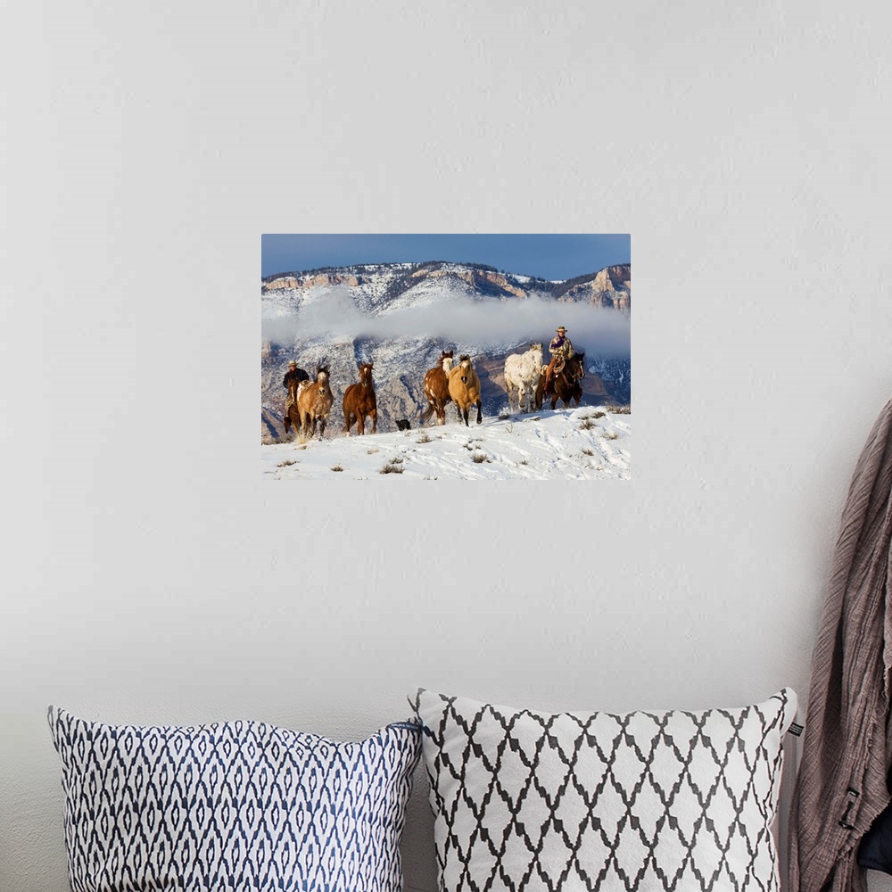 A bohemian room featuring Cowboy Herding Horses At Hide Out Ranch In Wyoming