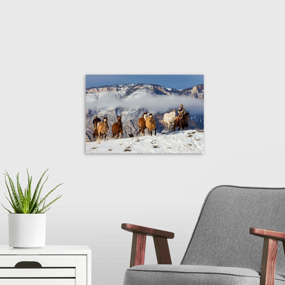 A modern room featuring Cowboy Herding Horses At Hide Out Ranch In Wyoming