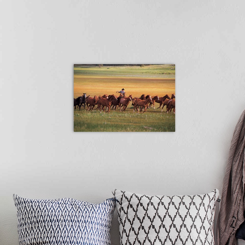 A bohemian room featuring A single cowboy is photographed as he herds a group of horses in an open field.