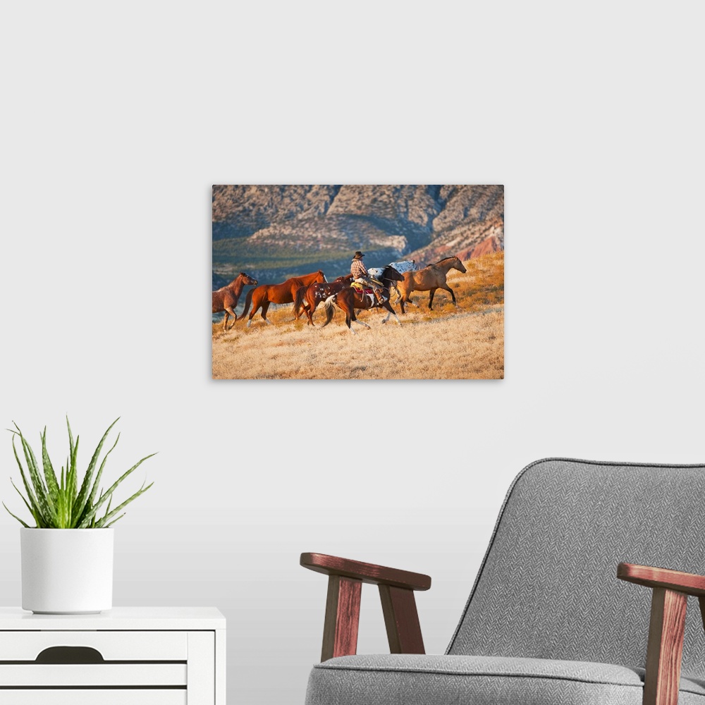 A modern room featuring Cowboy Herding Wild Horses