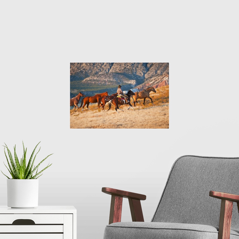 A modern room featuring Cowboy Herding Wild Horses