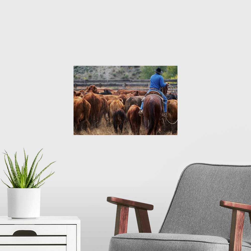 A modern room featuring Cowboy Lassoing in Corral, Colorado