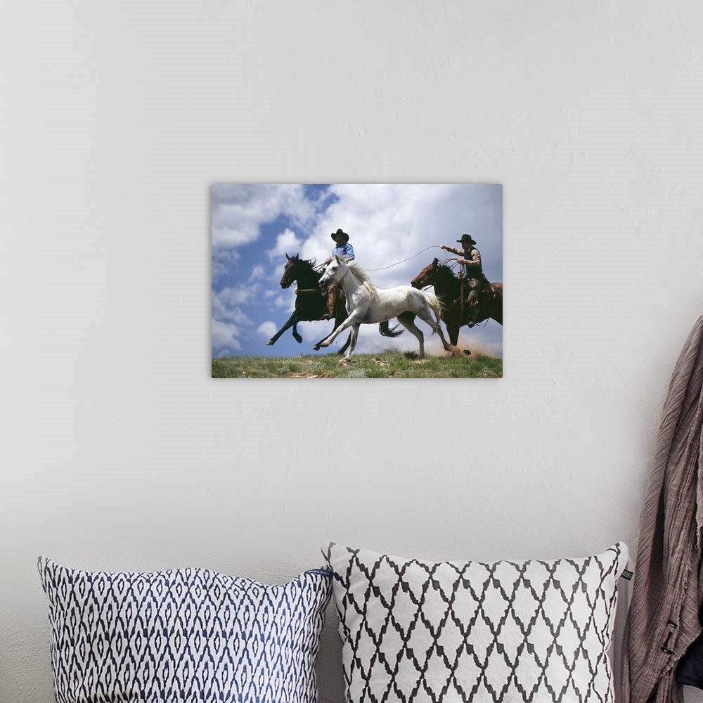 A bohemian room featuring Cowboys lassoing horse