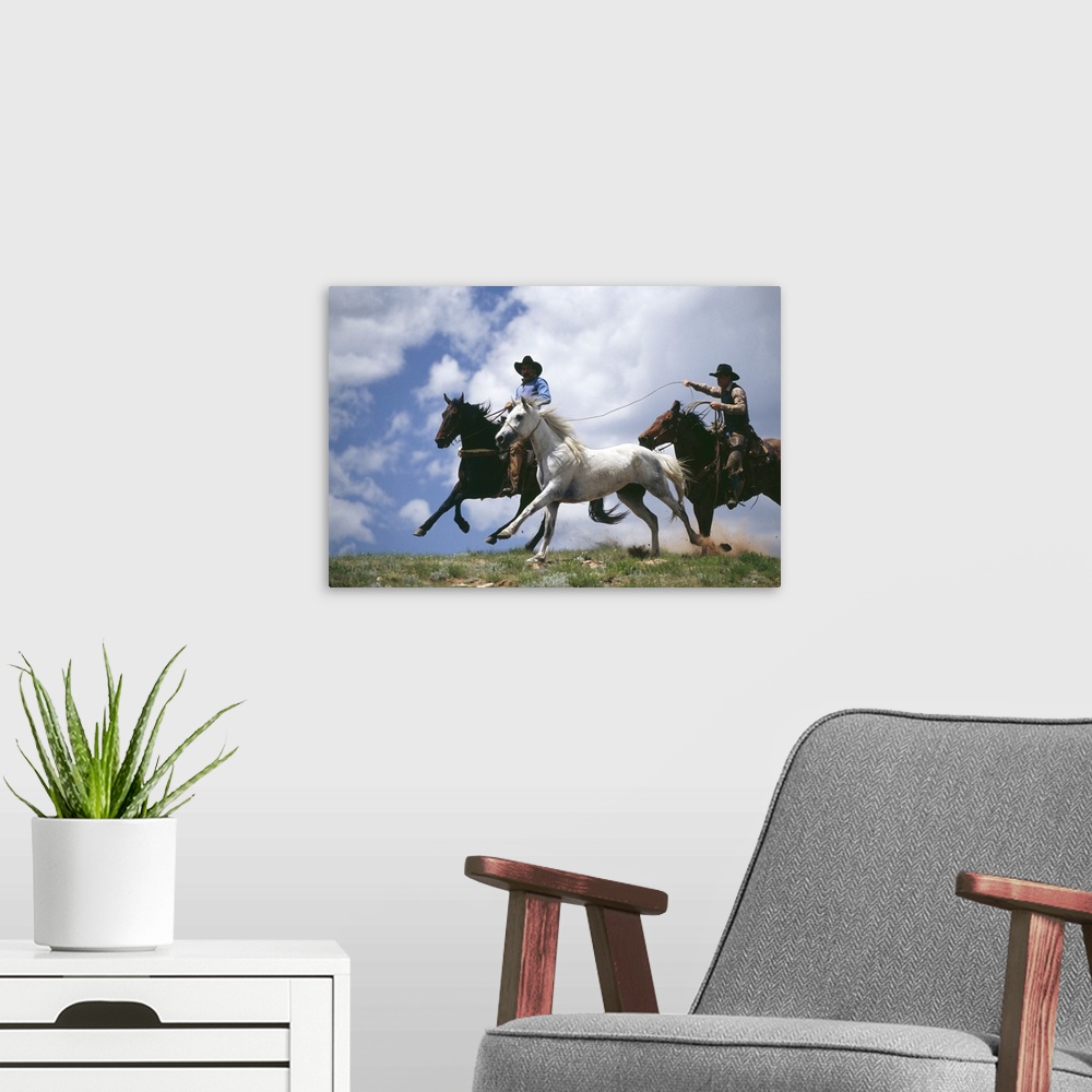 A modern room featuring Cowboys lassoing horse